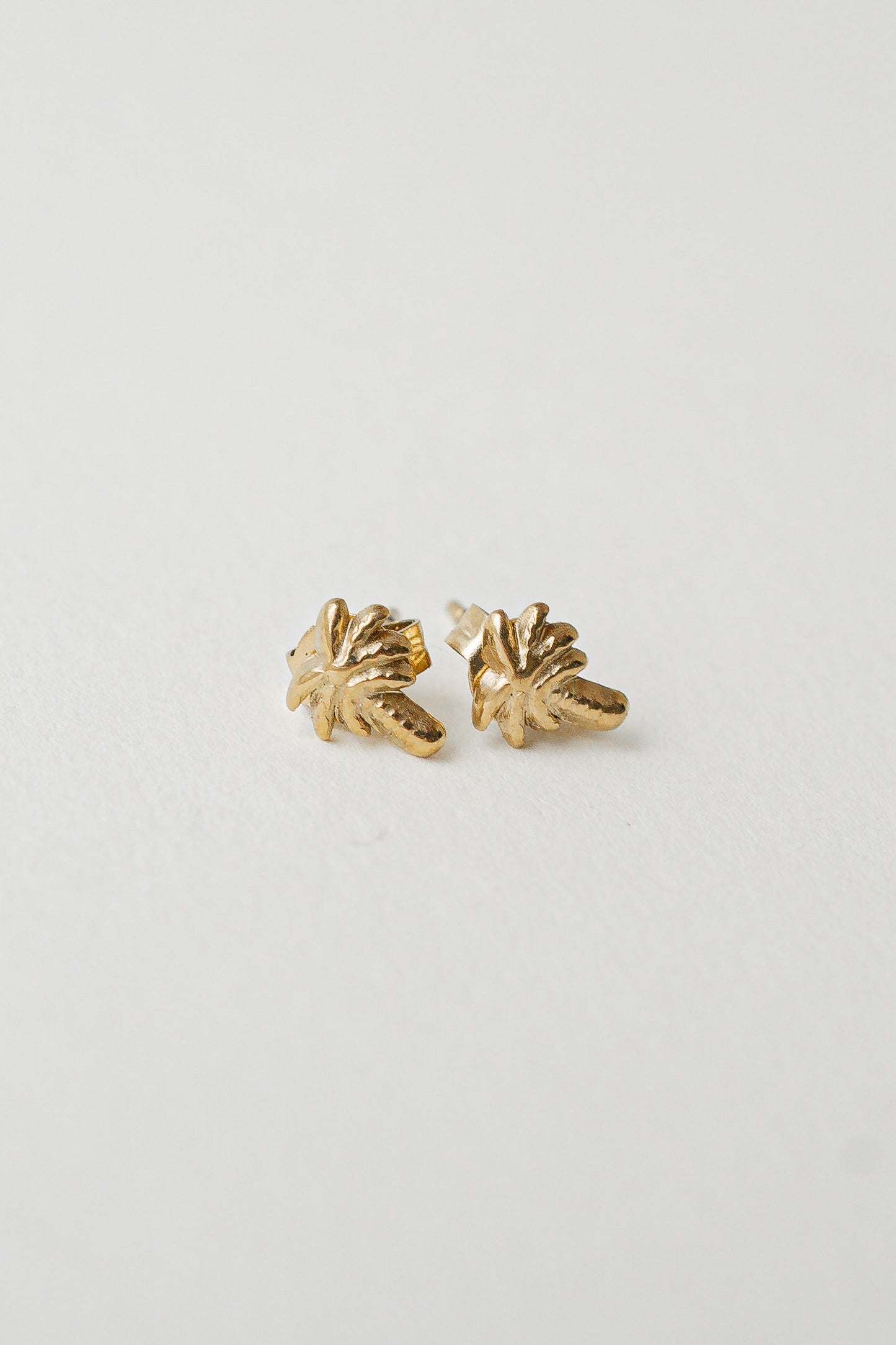 STUDS PALMTREE